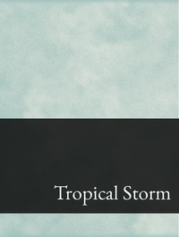 Tropical Storm Optimized Hashtag List