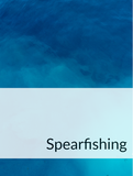 Spearfishing Optimized Hashtag List