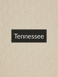Tennessee Optimized Hashtag List