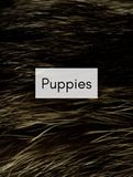 Puppies Optimized Hashtag List