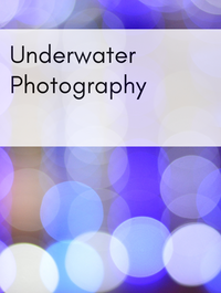 Underwater Photography Optimized Hashtag List