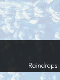 Raindrops Optimized Hashtag List