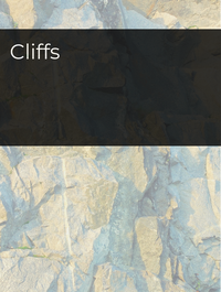 Cliffs Optimized Hashtag List