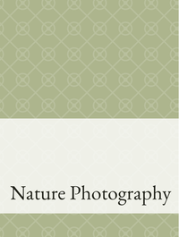 Nature Photography Optimized Hashtag List
