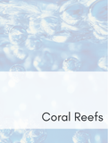 Coral Reefs Optimized Hashtag List