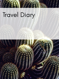 Travel Diary Optimized Hashtag List