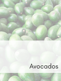 Avocados Optimized Hashtag List