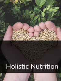 Holistic Nutrition Optimized Hashtag List