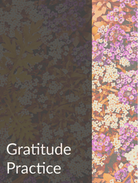 Gratitude Practice Optimized Hashtag List