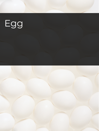 Egg Optimized Hashtag List