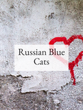 Russian Blue Cats Optimized Hashtag List