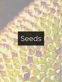 Seeds Optimized Hashtag List