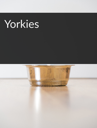 Yorkies Optimized Hashtag List