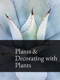 Plants & Decorating with Plants Optimized Hashtag List
