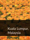 Kuala Lumpur, Malaysia Optimized Hashtag List