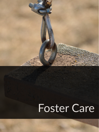 Foster Care Optimized Hashtag List