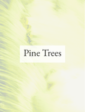 Pine Trees Optimized Hashtag List