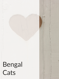 Bengal Cats Optimized Hashtag List