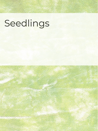 Seedlings Optimized Hashtag List