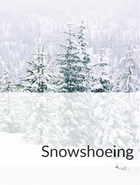 Snowshoeing Optimized Hashtag List