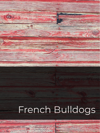 French Bulldogs Optimized Hashtag List