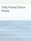 Tide Pools/Rock Pools Optimized Hashtag List