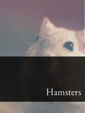 Hamsters Optimized Hashtag List